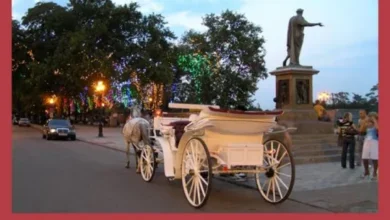 Holidays in Odessa