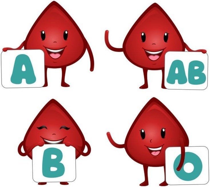 Blood type diet