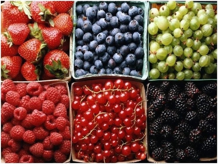 Blood type diet