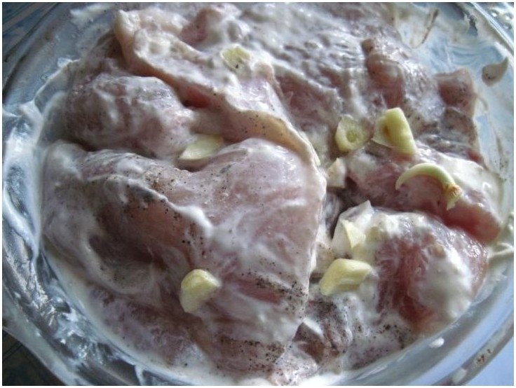 Chicken Diet