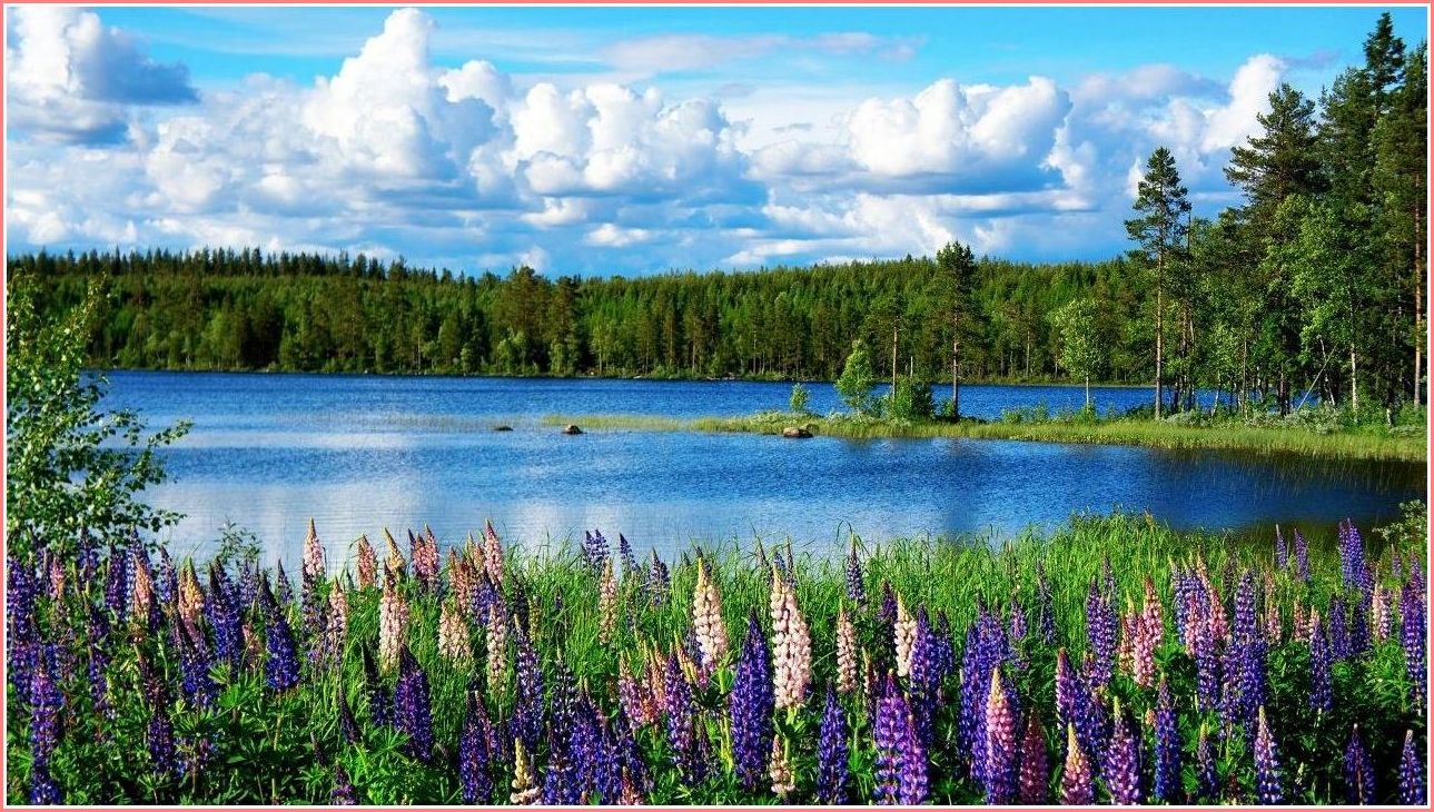 Швеция (швеция) Sweden