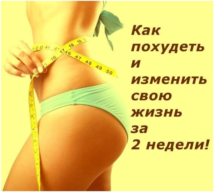 Фруктовая диета