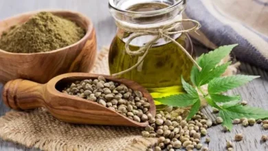 The Main Health Benefits of Hemp Seeds for the Human Body